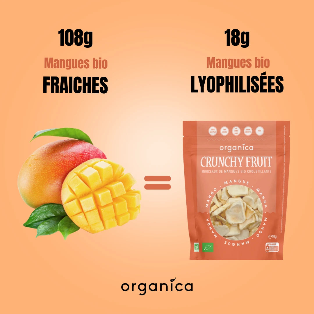 Crunchy Fruit Mangue bio
