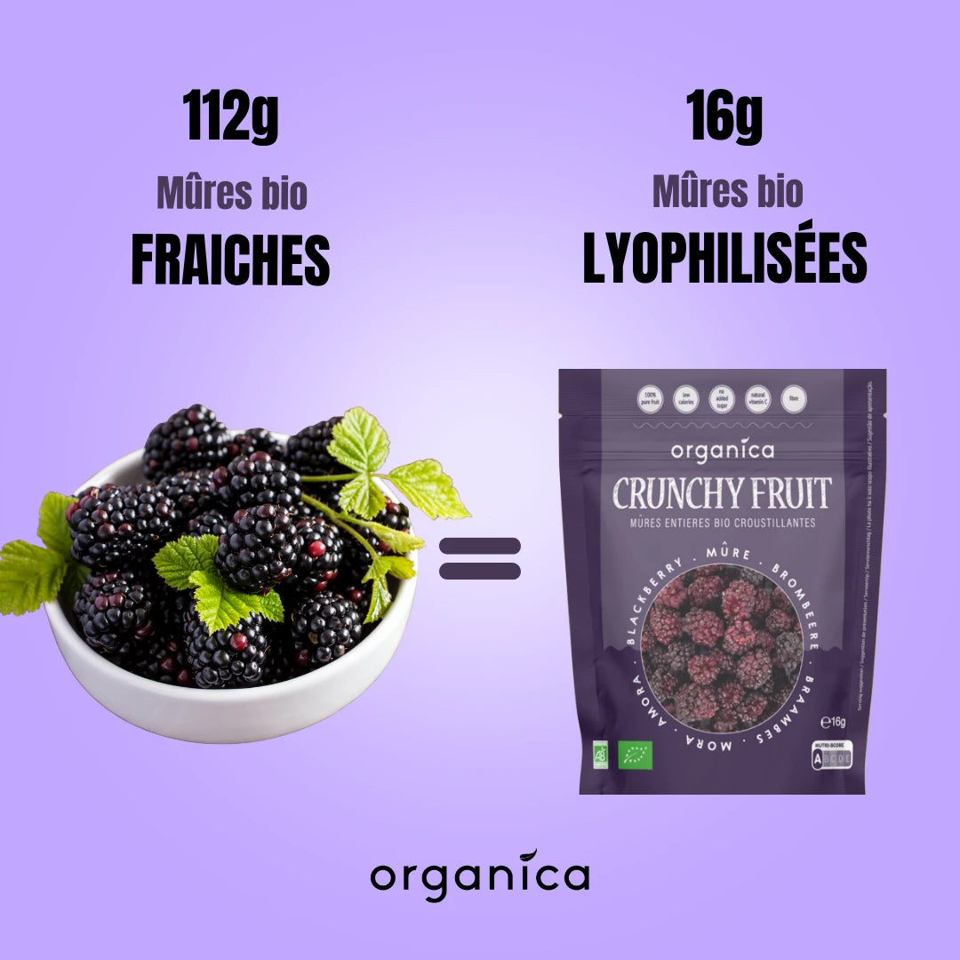 Crunchy Fruit Mûre bio