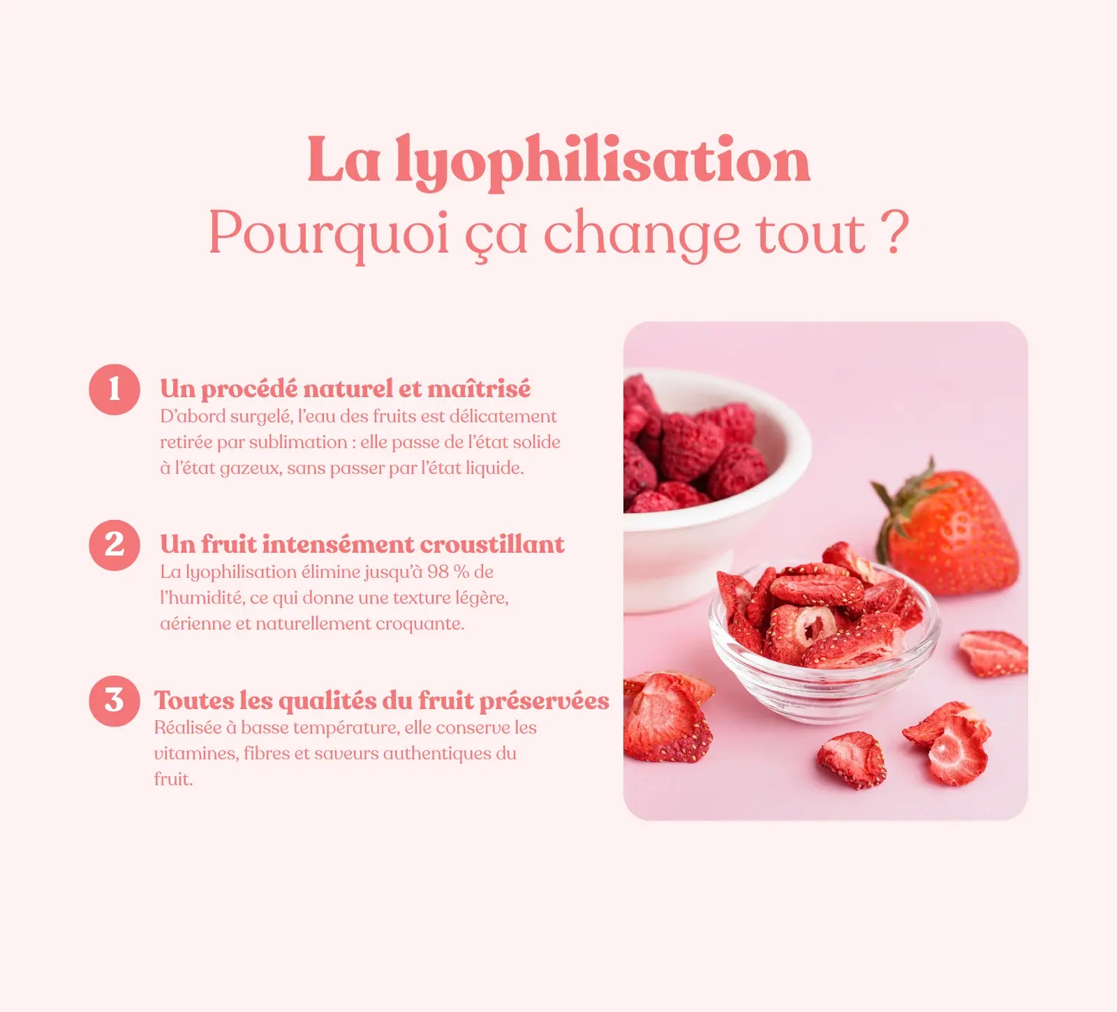 Friandises naturelles 100% fraise pour chien et chat - Comptoir des Friandises naturelles 100% fraise pour chien et chat - Comptoir des