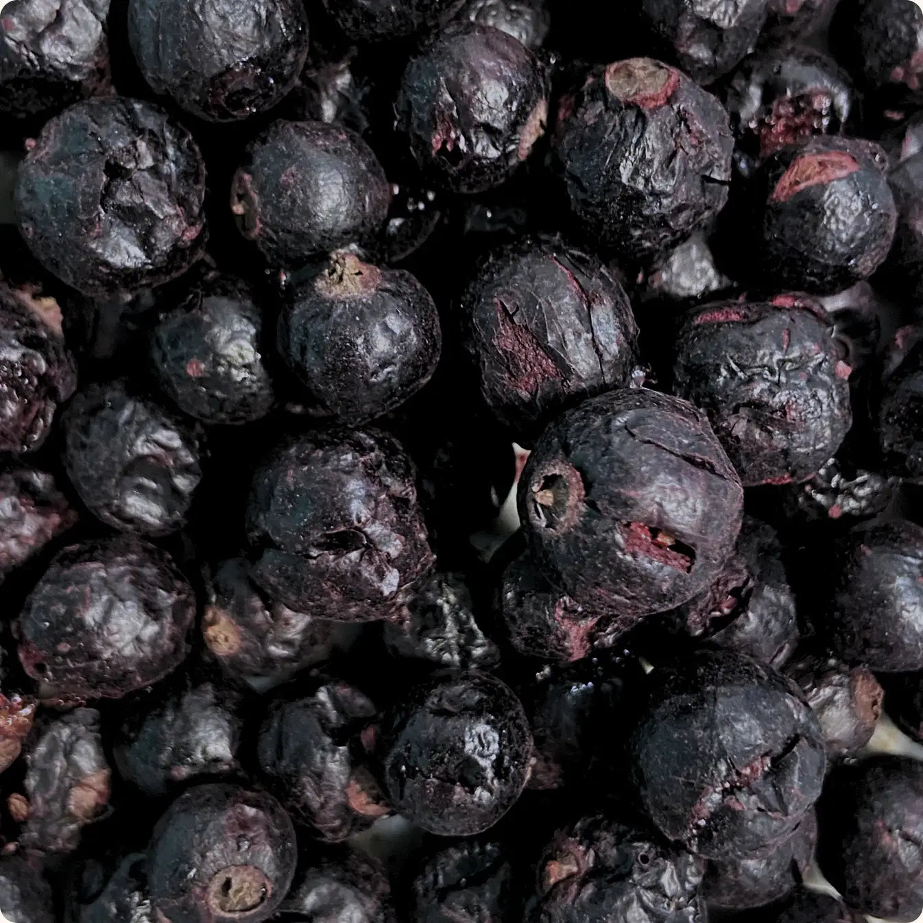 Fraises lyophilisées