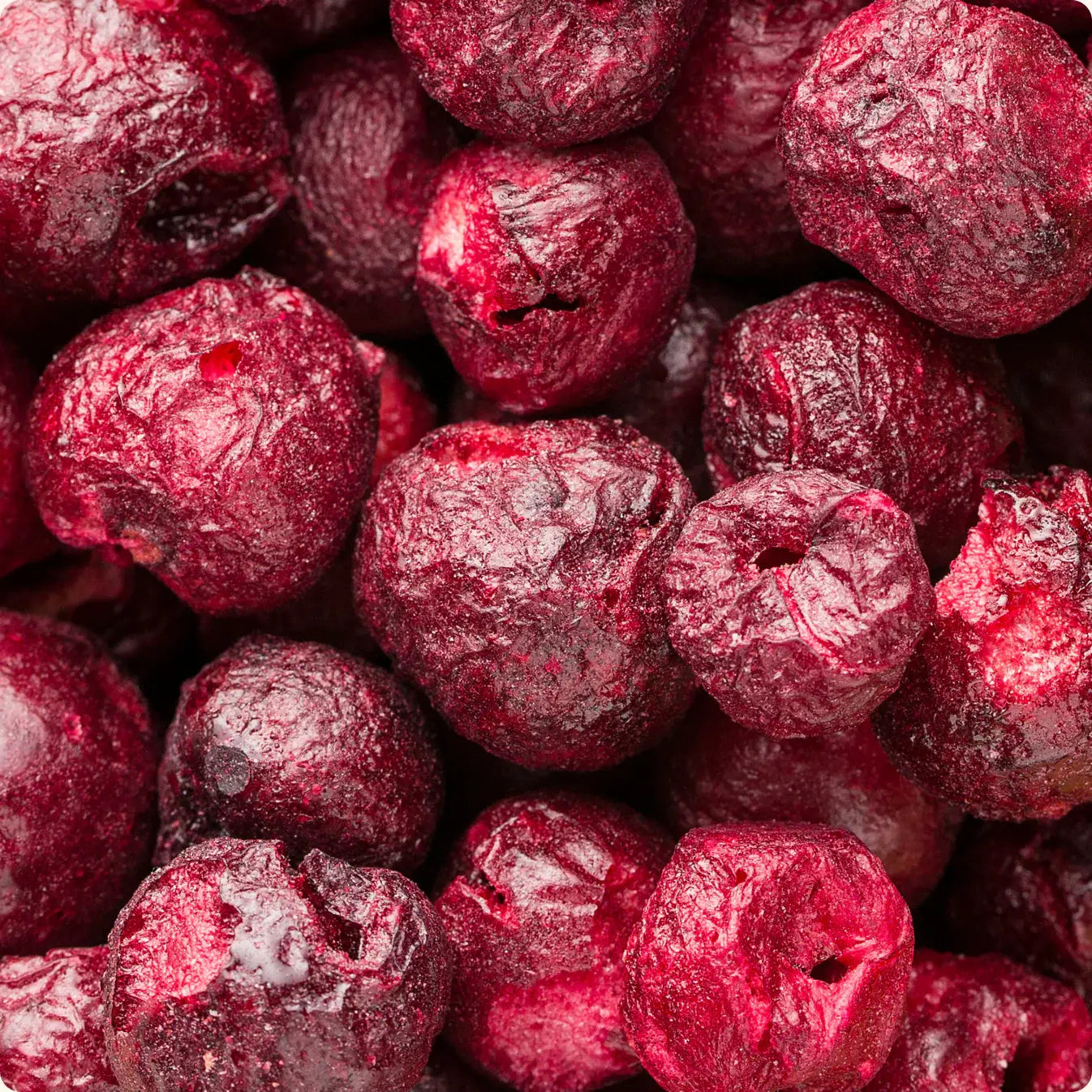 Cerise lyophilisée - fruit croquant et savoureux, idéal pour la pâtisserie, le snacking et les recettes maison