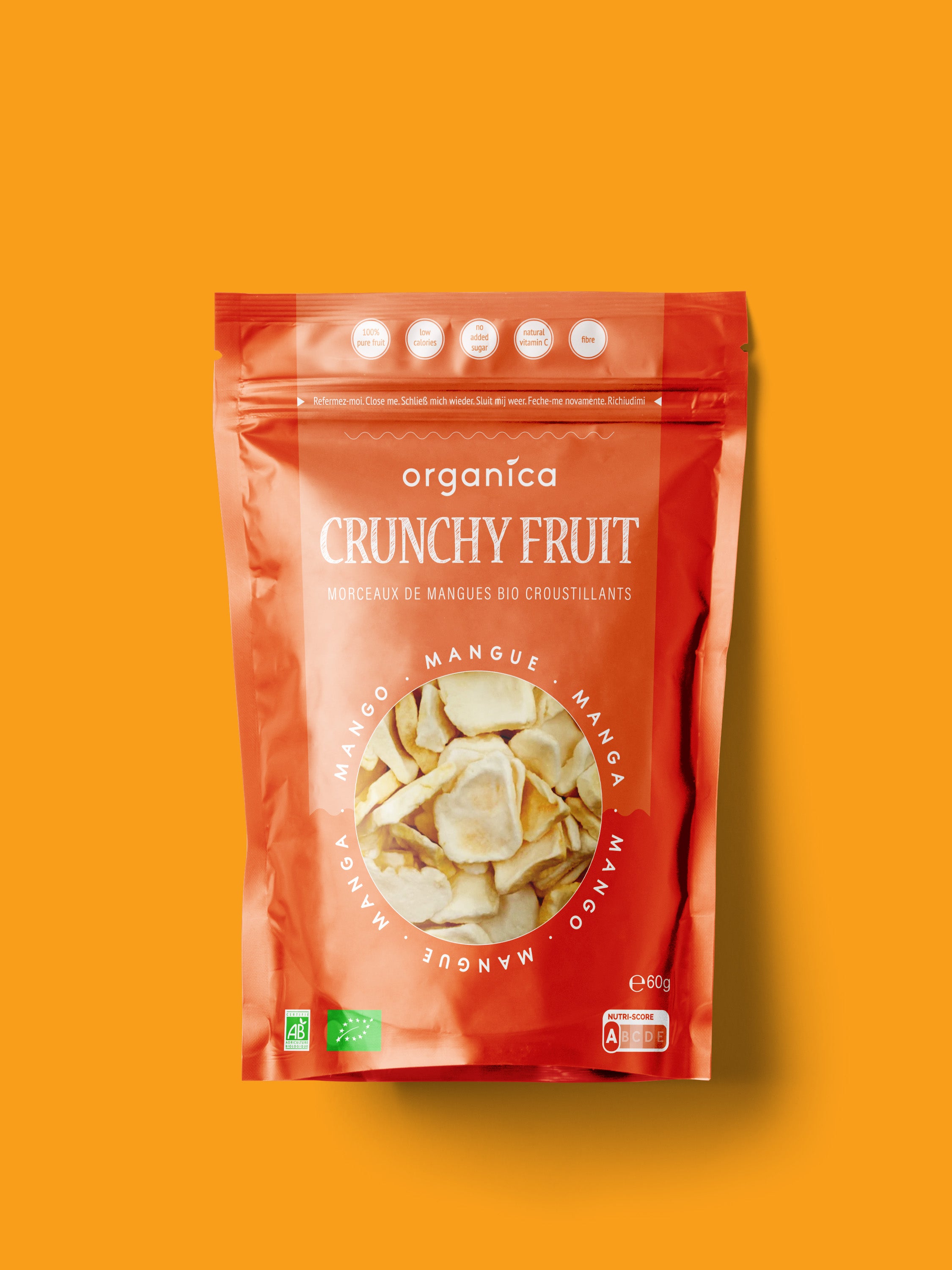 Crunchy Fruit Family Mangue Bio (60g)