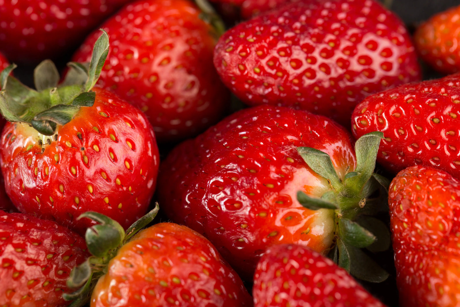 Fraises fraîches