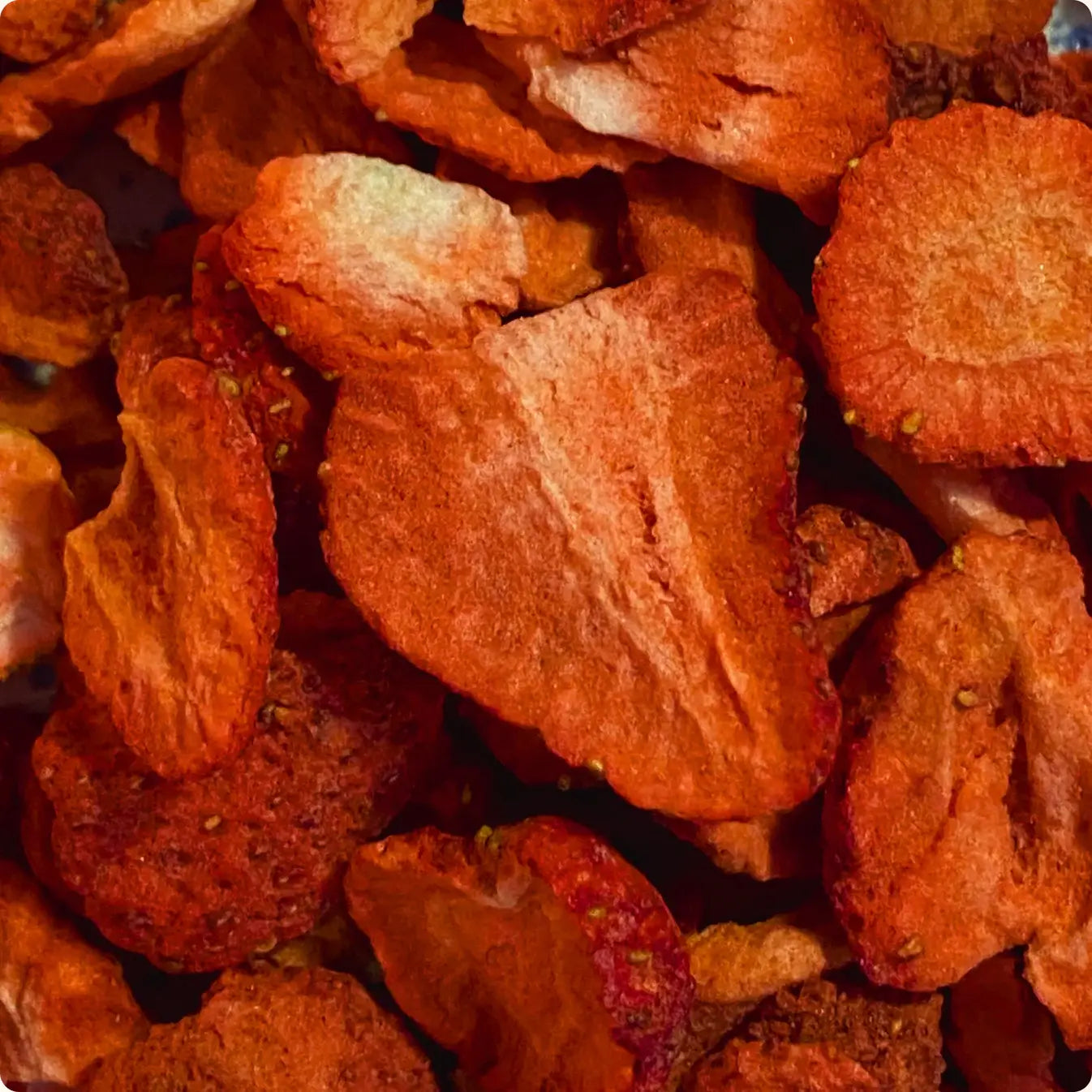 Fraises lyophilisées