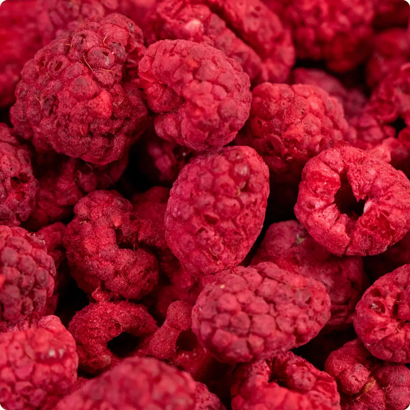 Framboise lyophilisée - fruit croquant et acidulé, idéal pour la pâtisserie, le snacking et les recettes maison