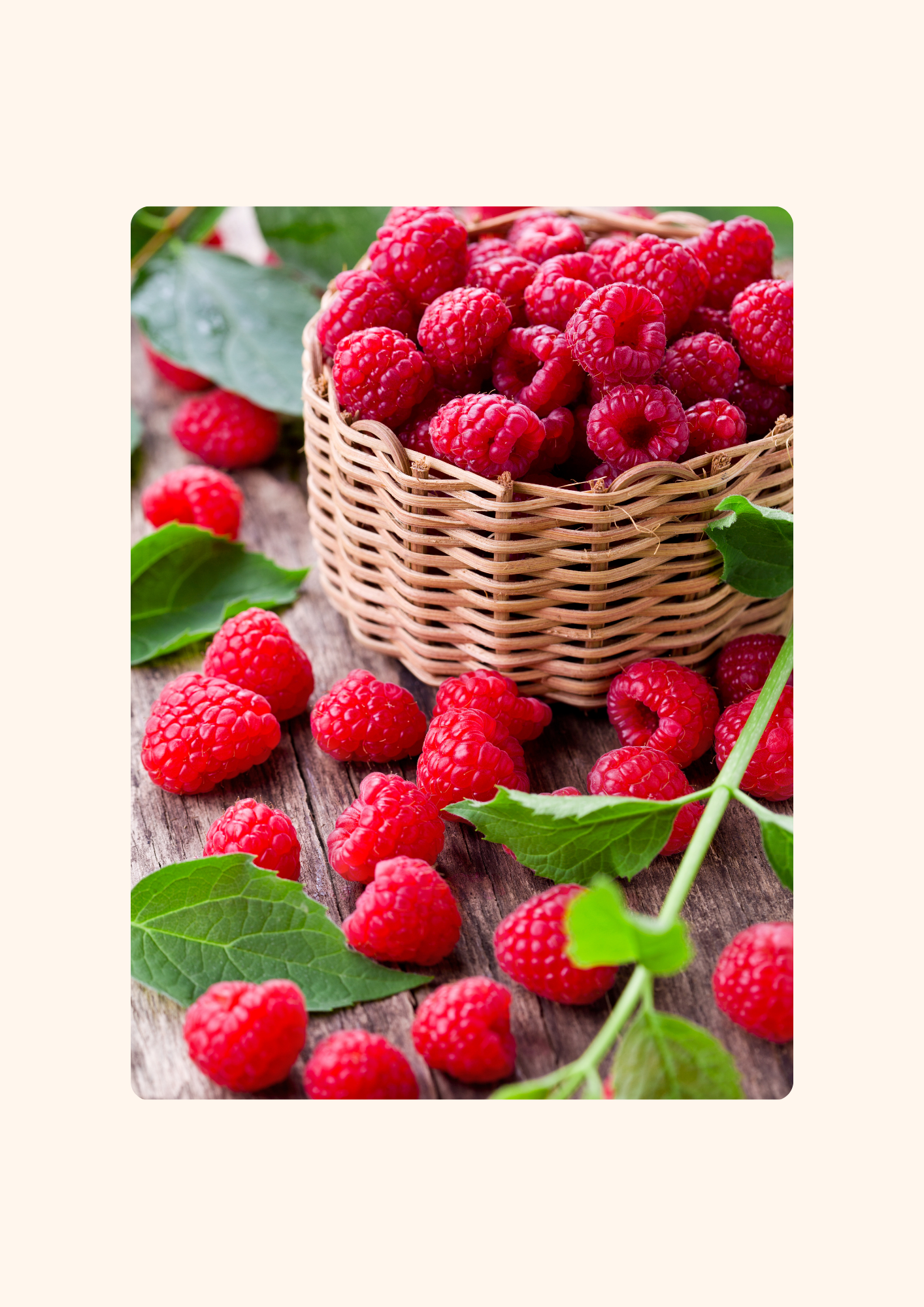 Gros plan sur des framboises fraîches disposées dans un panier en osier, éclatantes de couleur rouge vif. Ces baies juteuses et sucrées, riches en vitamines et antioxydants, sont parfaites pour une collation naturelle ou pour agrémenter des desserts, salades de fruits, smoothies et pâtisseries. Chaque framboise est une petite explosion de fraîcheur acidulée.