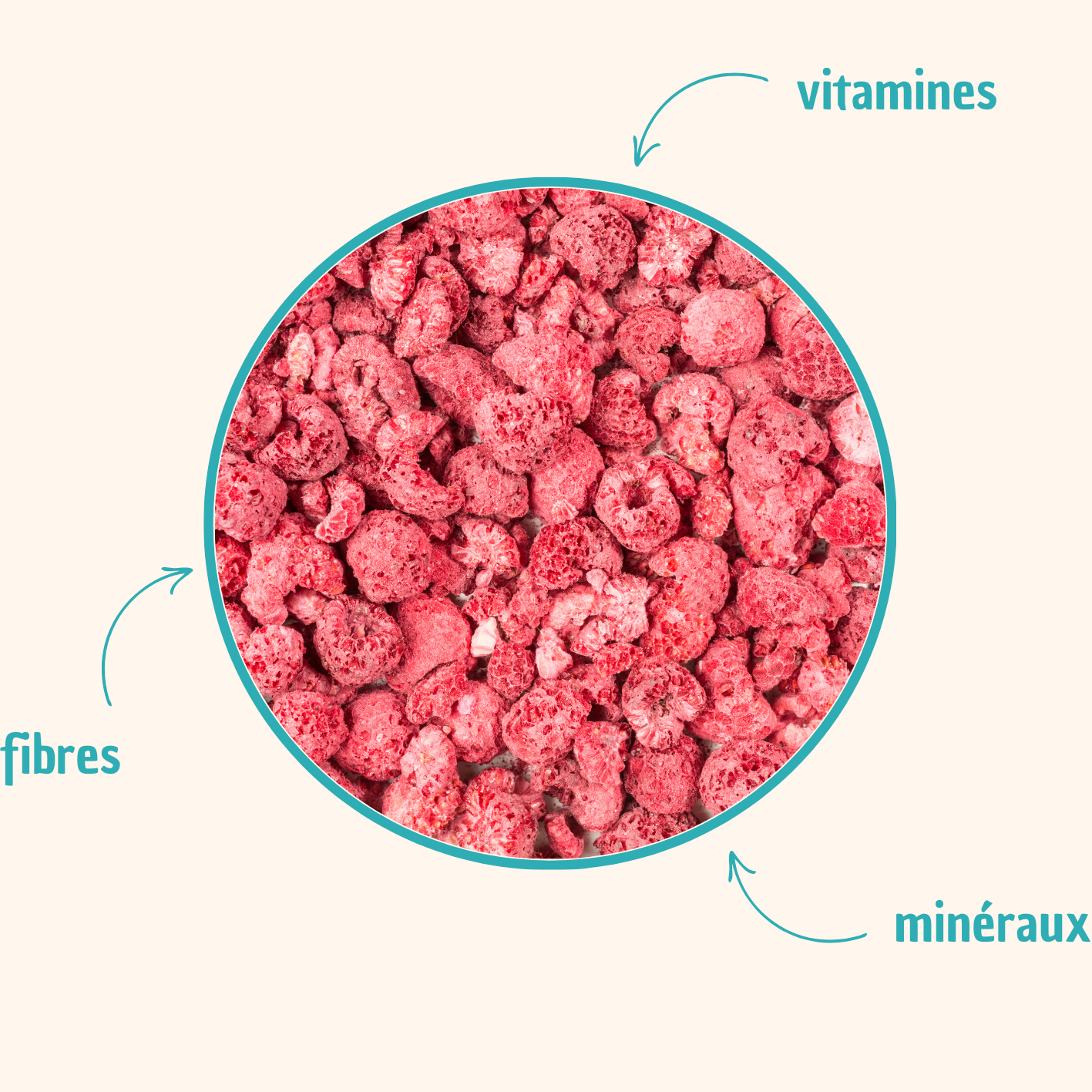 Paquet de CRUNCHY FRUIT Framboises lyophilisées, mettant en avant des framboises croquantes et naturellement sucrées. Ces baies biologiques, présentées dans un emballage coloré, conservent leur éclat et leur saveur délicate, tout en étant sans sucres ajoutés. Parfaites pour une collation saine, ou à incorporer dans des smoothies, yaourts et desserts, ces framboises crunchy offrent une délicieuse alternative aux friandises traditionnelles.