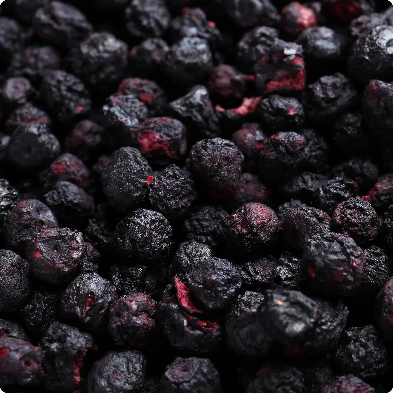 Fraises lyophilisées