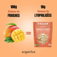 Crunchy Fruit Mangue bio