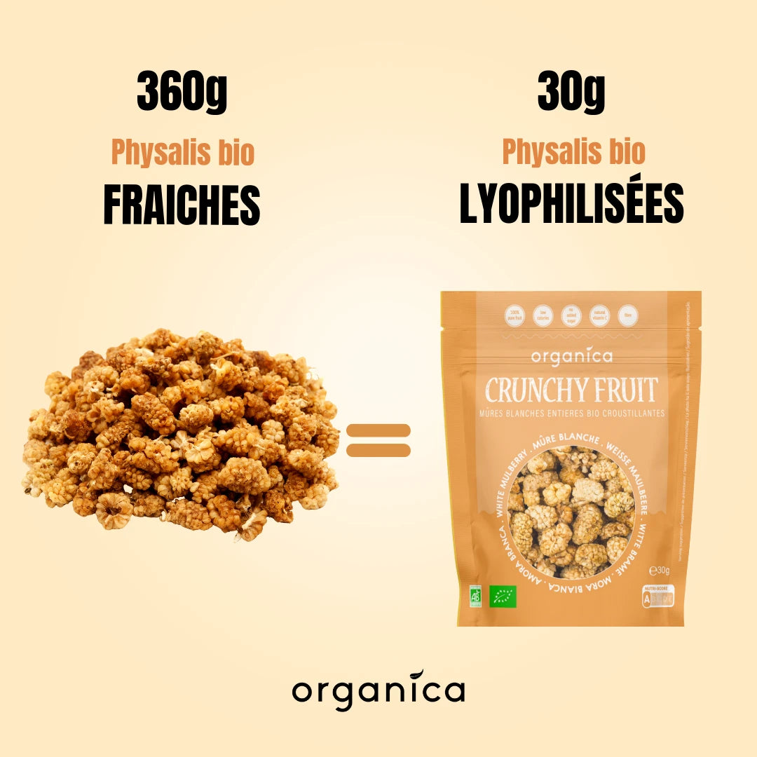 Crunchy Fruit Mûre Blanche bio